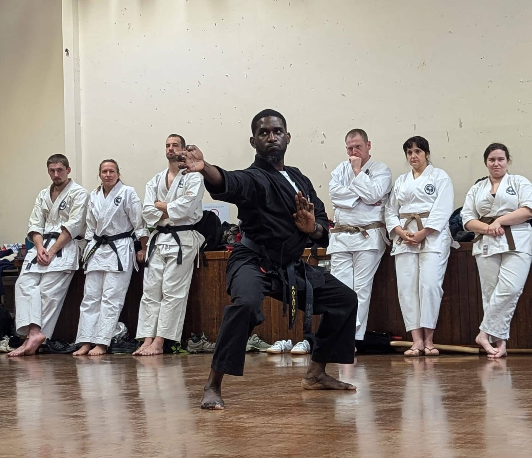 Kata punch technique