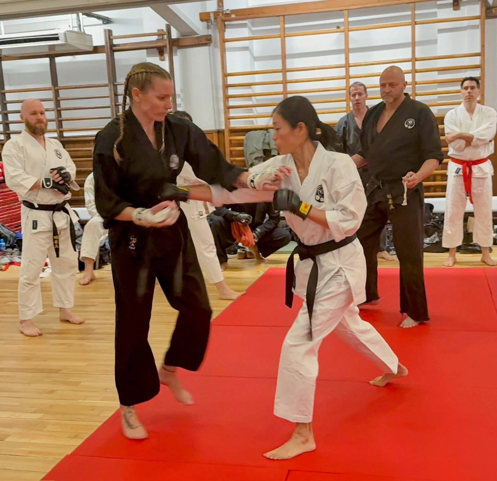Women's sparring