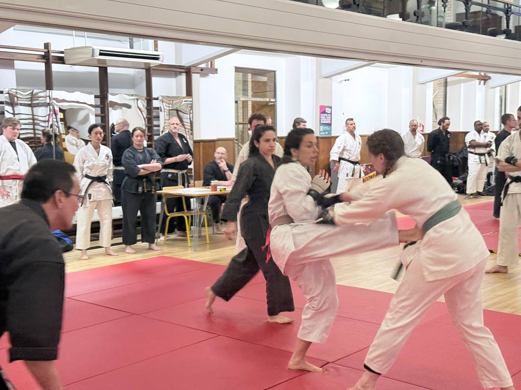 Women's sparring