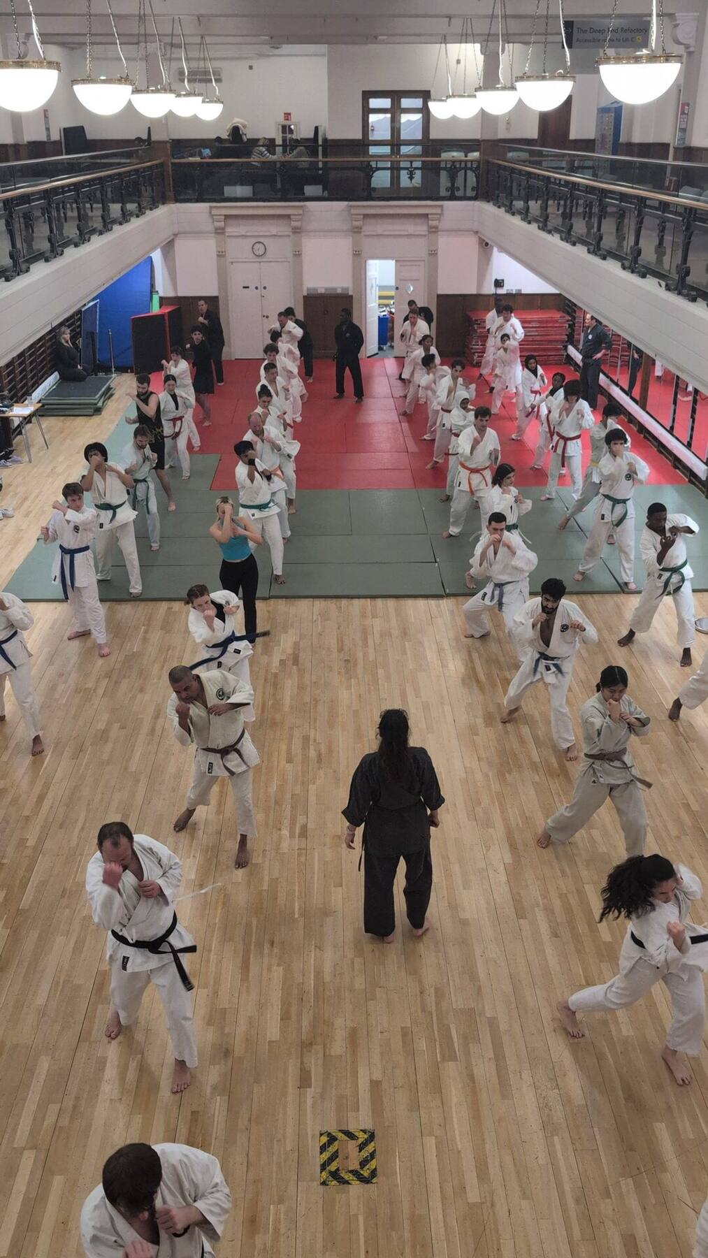 Dramatic high kick in kumite