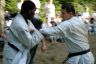DKK-sparring.jpg